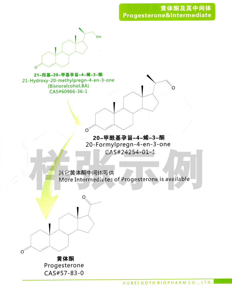 企業(yè)畫冊011